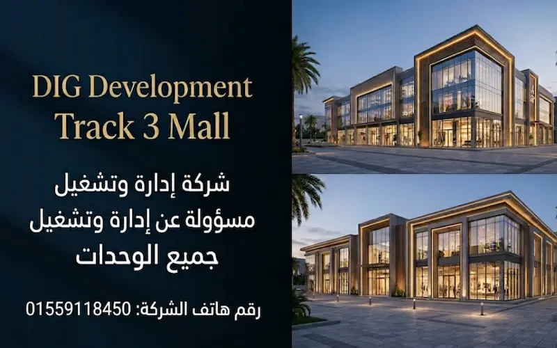 Track 3 Mall DIG Development